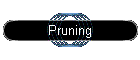 Pruning